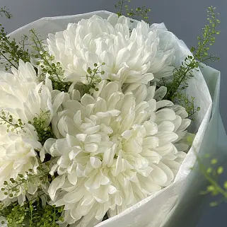 Букет из 3 белых хризантем