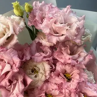 Букет из 7 розовых эустом