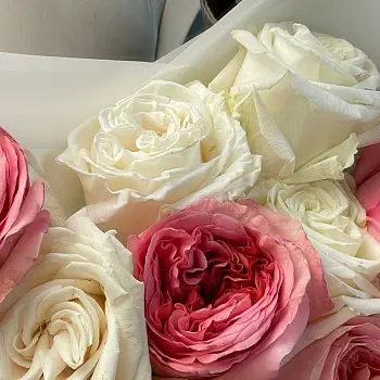 Букет пионовидных роз Pink Expression и Playa Blanca S