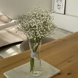 Интерьерный букет из 5 веточек гипсофилы