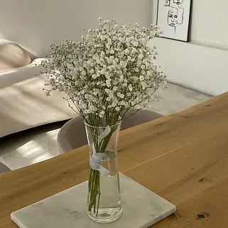 Интерьерный букет из 5 веточек гипсофилы