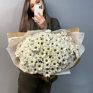 Букет из 25 белых кустовых хризантем Bacardi