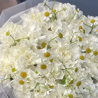 Белый дуо-букет гвоздик и матрикарий M