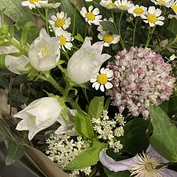 Полевой сборный букет S