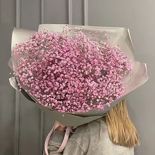 Букет из 15 веточек розовой гипсофилы