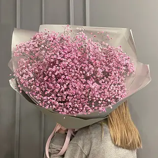 Букет из 15 веточек розовой гипсофилы