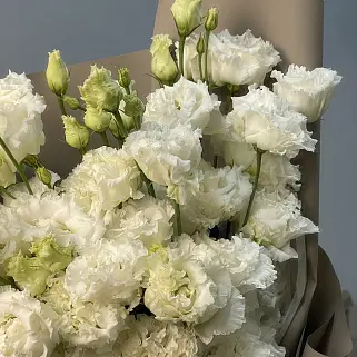 Букет из 9 белых эустом