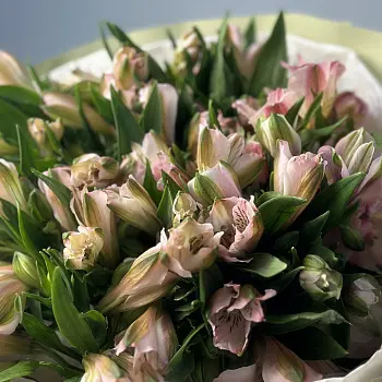 Букет из 15 розовых альстромерий