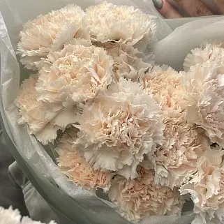 Букет из 15 персиковых гвоздик