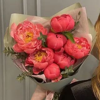 Букет из 7 пионов Coral Sunset и эвкалипта