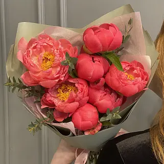 Букет из 7 пионов Coral Sunset и эвкалипта