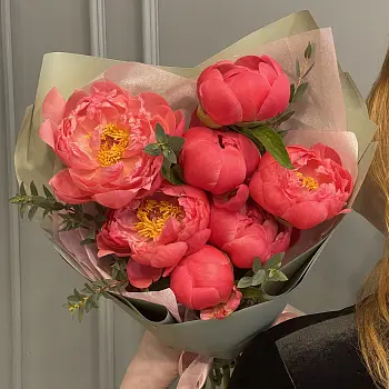 Букет из 7 пионов Coral Sunset и эвкалипта