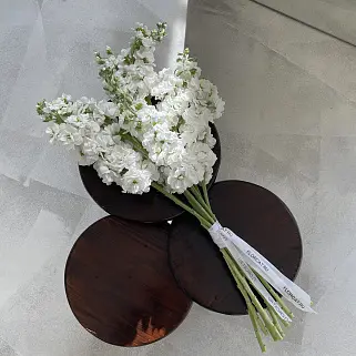 Интерьерный букет из 9 маттиол