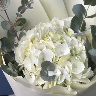 Букет белой гортензии