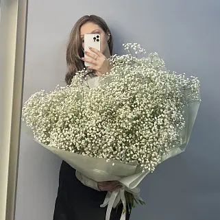 Букет из 25 веточек гипсофилы