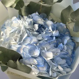 Букет голубой гортензии