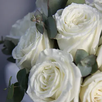 Свадебный букет невесты из 9 роз Playa Blanca и эвкалипта