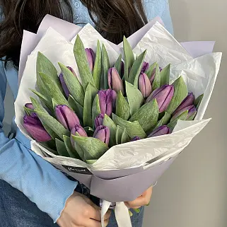 Букет из 25 фиолетовых тюльпанов