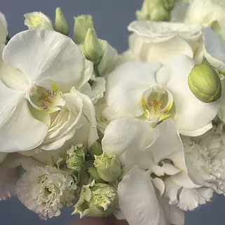 Нежный свадебный букет невесты с орхидеей