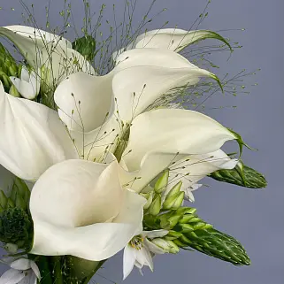 Свадебный букет невесты из калл и орнитогалума