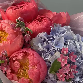 Сборный букет гортензий и пионов Emily