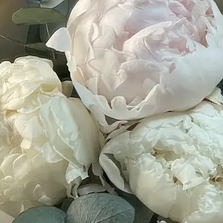 Букет из 3 белых пионов и эвкалипта