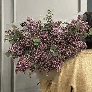 Букет из 15 веточек сирени