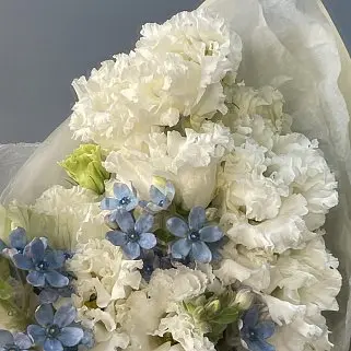 Дуо-букет эустомы и твидии S