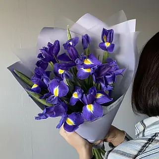 Букет из 15 ирисов