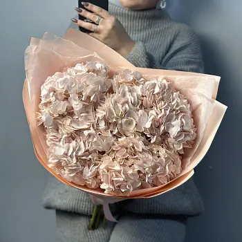 Букет из 5 розовых гортензий