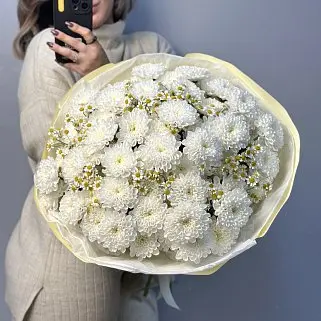 Дуо-букет хризантем Baltica и матрикарии M