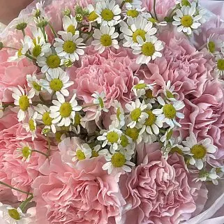 Розовый дуо-букет гвоздик и матрикарий S