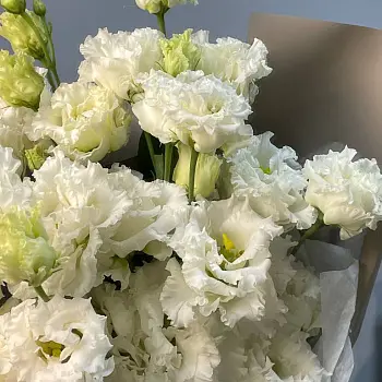 Букет из 7 белых эустом