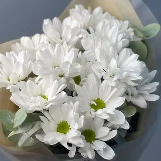 Букет из 3 кустовых хризантем Bacardi и эвкалипта