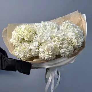 Букет из 7 белых гортензий