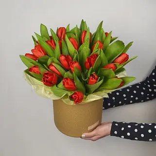 Букет из 25 красных тюльпанов в шляпной коробке
