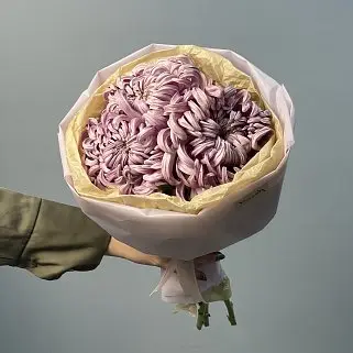 Букет из 3 хризантем Vienna Pink