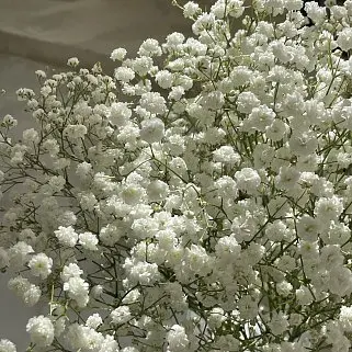 Интерьерный букет из 5 веточек гипсофилы