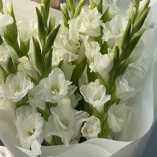 Букет из 9 белых гладиолусов