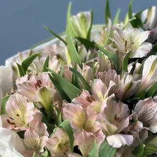 Букет из 11 розовых альстромерий