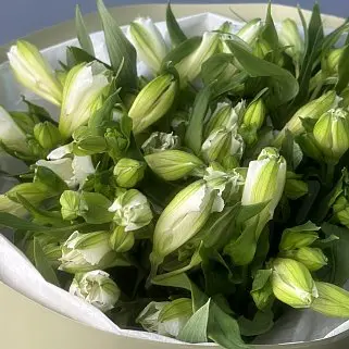 Букет из 11 белых альстромерий