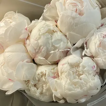 Букет из 5 белых пионов