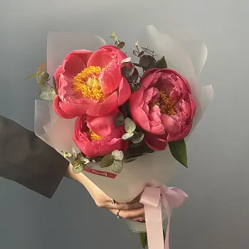 Букет из 3 пионов Coral Sunset и эвкалипта