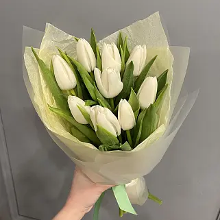 Букет из 9 белых тюльпанов