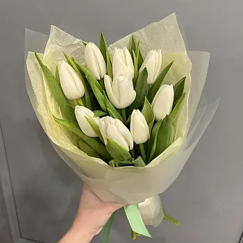 Букет из 9 белых тюльпанов