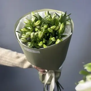 Букет из 11 белых альстромерий