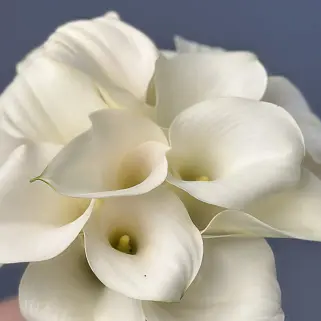 Свадебный букет невесты из 17 калл