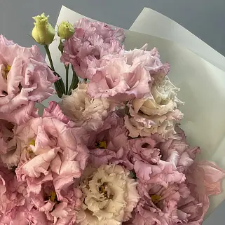 Букет из 9 розовых эустом