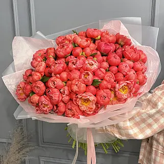 Букет из 101 пиона Coral Sunset