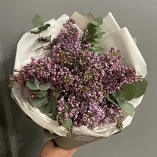 Букет из 5 веточек сирени